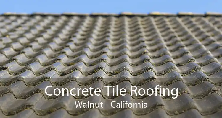 Concrete Tile Roofing Walnut - California