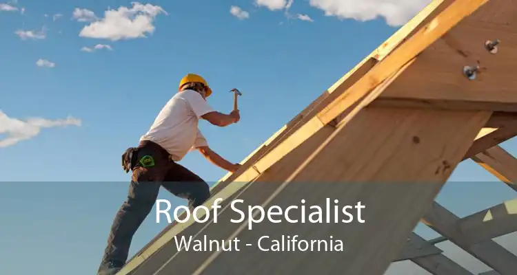 Roof Specialist Walnut - California