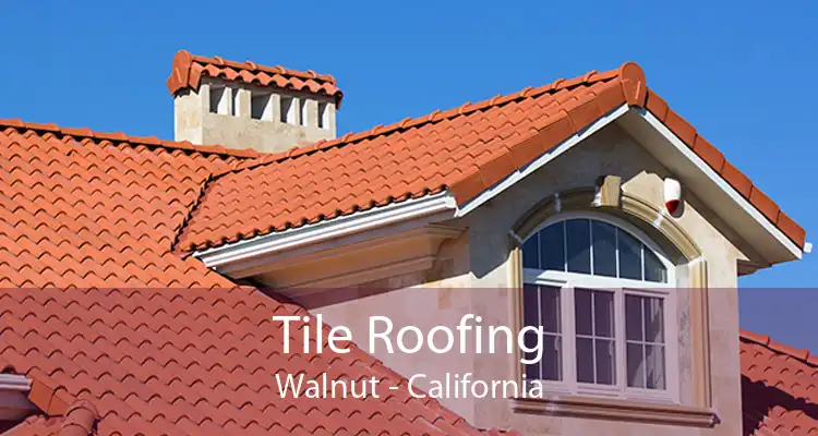 Tile Roofing Walnut - California